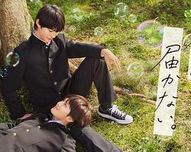 网站seo优化怎么介绍